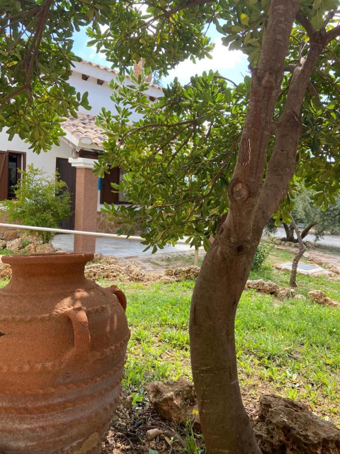 Complejo Rural Ibipozo Guest House Pozo Alcón Eksteriør bilde